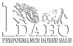 Idaho Performance Horse Sale